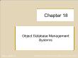 Cơ sở dữ liệu - Chapter 18: Object database management systems
