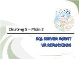 Cơ sở dữ liệu - Chương 5 - Phần 2: SQL serrver agent và replication