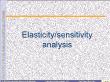 Kinh tế học - Elasticity / sensitivity analysis