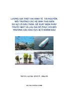 Lượng giá thiệt hại kinh tế tài nguyên, môi trường các hệ sinh thái biển do sự cố dầu tràn, đề xuất biện pháp trước mắt và lâu dài để phục hồi môi trường các khu vực bị ô nhiễm dầu