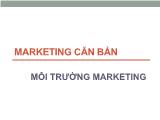 Marketing căn bản - Môi trường marketing