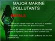 Môi trường - Major marine pollutants - Metals