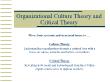 PR truyền thông - Organizational culture theory and critical theory