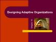 Quản trị kinh doanh - Chapter 10: Designing adaptive organizations