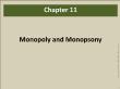 Quản trị kinh doanh - Chapter 11: Monopoly and monopsony