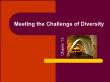 Quản trị kinh doanh - Chapter 13: Meeting the challenge of diversity