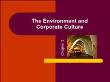 Quản trị kinh doanh - Chapter 3: The environment and corporate culture