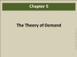 Quản trị kinh doanh - Chapter 5: The theory of demand