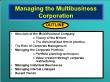 Quản trị kinh doanh - Managing the multibusiness corporation