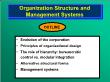 Quản trị kinh doanh - Organization structure and management systems