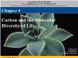 Sinh học - Chapter 04: Carbon and the molecular diversity of life