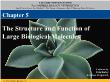 Sinh học - Chapter 5: The structure and function of large biological molecules
