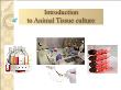 Sinh học - Introduction to animal tissue culture