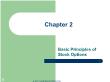 Tài chính doanh nghiệp - Chapter 2: Basic principles of stock options