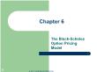 Tài chính doanh nghiệp - Chapter 6: The black - Scholes option pricing model