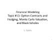 Tài chính doanh nghiệp - Topic 13: Option contracts and hedging, monte carlo valuation, and black - Scholes