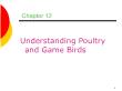 Ẩm thực - Chapter 12: Understanding poultry and game birds