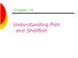 Ẩm thực - Chapter 14: Understanding fish and shellfish