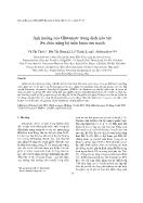 Ảnh hưởng của Glutamate trong dịch não tủy lên chức năng hệ tuần hoàn tim mạch