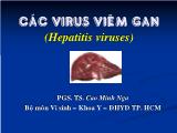 Y khoa, dược - Các lọa vius viêm gan