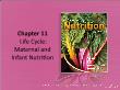 Y khoa, dược - Chapter 11: Life cycle: maternal and infant nutrition