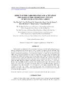 Effect of the carbonization and activation processes on the adsorption capacity of rice husk activated carbon