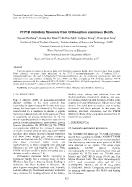 PTP1B inhibitory flavonols from Orthosiphon stamineus Benth - Nguyen Phi Hung