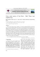 Some study results of Cam Ranh - Binh Thuan mud eruption strip