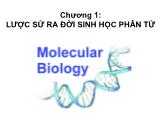 Bài giảng sinh học phân từ - Chương 1: Lược sử ra đời sinh học phân tử