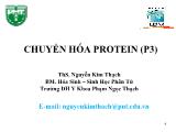 Chuyển hóa protein (p3) - Ths. Nguyễn Kim Thạch