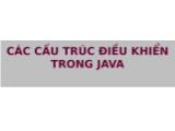 Giáo trình Kỹ thuật phần mềm - Chương 2: Các cấu trúc điều khiển trong Java - Phạm Duy Trung