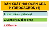 Bài giảng Hóa hữu cơ - Chương 4: Dẫn xuất halogen của hydrocacbon