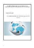 Tài liệu Các chính sách thúc đẩy chuỗi giá trị toàn cầu (Tiếp theo)