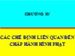 Bài giảng Luật hình sự Việt Nam - Chương 15: Các chế định liên quan đến chấp hành hình phạt