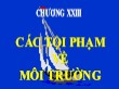 Bài giảng Luật hình sự Việt Nam - Chương 23: Các tội phạm về môi trường