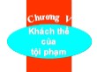 Bài giảng Luật hình sự Việt Nam - Chương 5: Khách thể của tội phạm