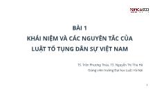 Bài giảng Luật tố tụng dân sự Việt Nam - Bài 1: Khái niệm và các nguyên tắc của luật tố tụng dân sự Việt Nam - Trần Phương Thảo