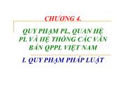 Bài giảng Pháp luật đại cương - Chương 4, Phần 1: Quy phạm pháp luật, quan hệ pháp luật và hệ thống các văn bản quy phạm pháp luật Việt Nam
