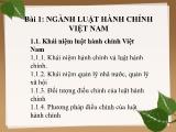 Bài giảng Pháp luật hành chính Việt Nam - Bài 1: Ngành luật hành chính Việt Nam