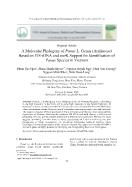 A molecular phylogeny of panax L genus (araliaceae) based on its-RDNA and matk support for identification of panax species in Viet Nam