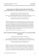 Ảnh hưởng của một số yếu tố môi trường đến quá trình nuôi cấy tế bào xạ đen (ehretia asperula zoll. et mor.)