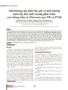 Ảnh hưởng của nhiệt độ, pH và môi trường nuôi cấy đến sinh trưởng phát triển của chủng nấm sò (Pleurotus sp.) FH và PN20