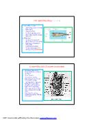 Bài giảng Các ngành dây sống