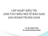 Bài giảng Cập nhật điều trị ung thư biểu mô tế bào gan giai đoan trung gian