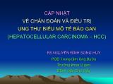 Bài giảng Cập nhật về chẩn đoán và điều trị ung thư biểu mô tế bào gan (hepatocellular carcinoma – HCC)