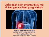 Bài giảng Chẩn đoán sớm ung thư biểu mô tế bào gan và đánh giá giai đoạn