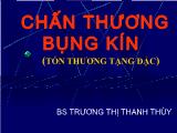 Bài giảng Chấn thương bụng kín - Trương Thị Thanh Thủy