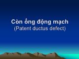 Bài giảng Còn ống động mạch