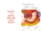 Bài giảng Dạ dày. Tá thuốc điều trị loét tràng