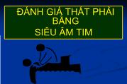 Bài giảng Đánh giá thất phải bằng siêu âm tim